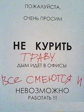 Забавные картинки вразнобой