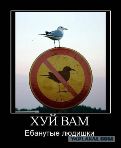 Старые добрые демотиваторы
