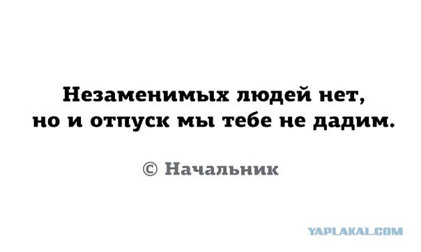 Как государство борется с нехваткой пилотов в России