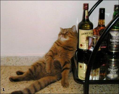 С наступающими выходными!