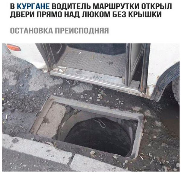 Подборка интересных и веселых картинок