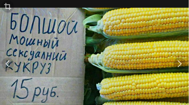 Как на самом деле растёт и выглядит еда перед тем, как попасть на полки супермаркетов