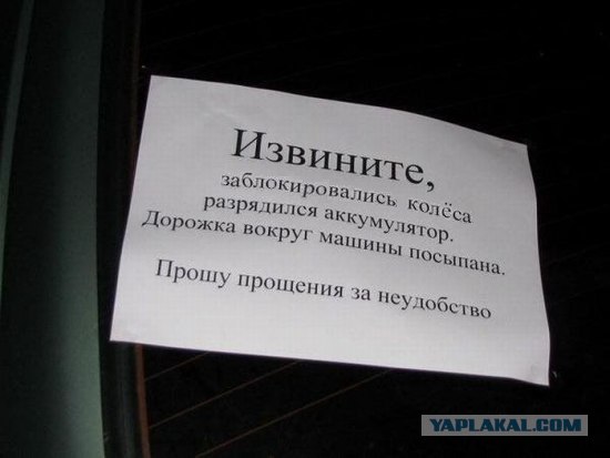 Водители тоже бывают вежливыми