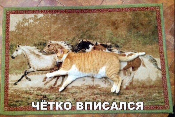 Подборка интересных и веселых картинок