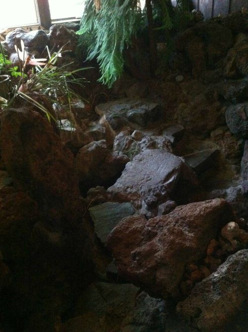 Тихий пруд... внутри дома!