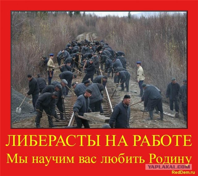 Верховный главнокомандующий заявил, что стране нужно быть готовыми от отключения от глобального интернета