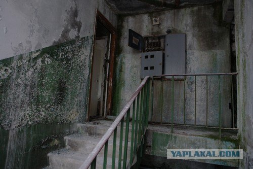 Мертвый город. Припять, май 2008