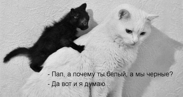 Немного картинок с надписями и без - 14