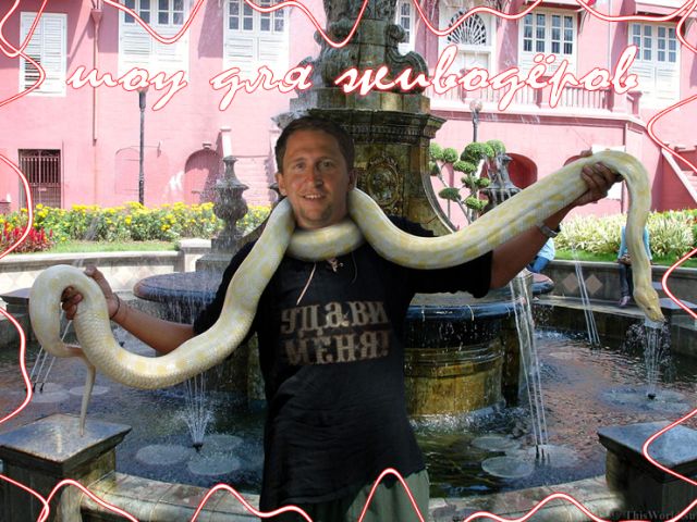 Готовы удивляться?