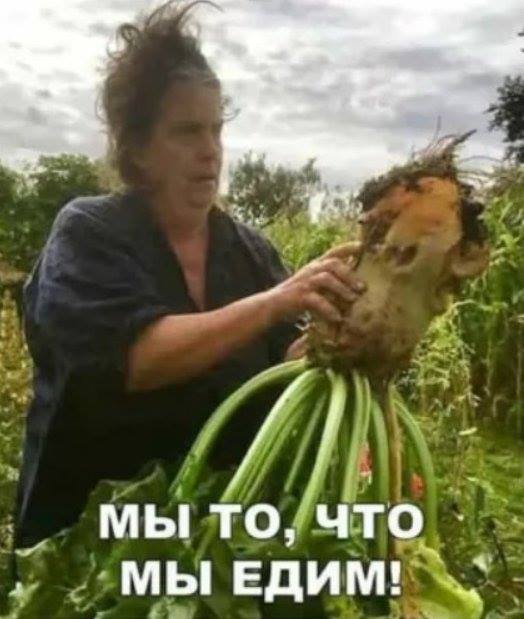 Бредзона 19.02.2020