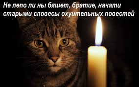 Соседка