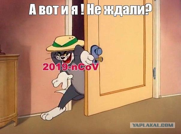 Коронавирус косит негров