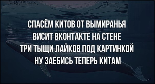 Всю "акцию поддержки" Джастину Биберу обломали эти русские!