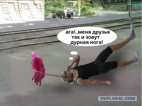 Перис Хилтон из Фрязино
