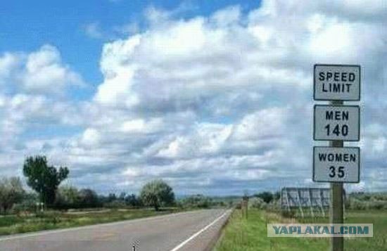 Прикольные картинки!