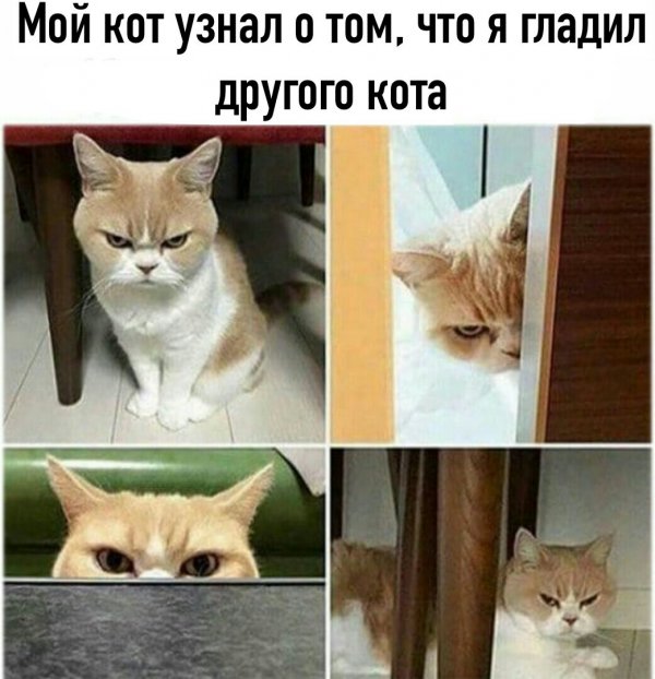 Чепухень на каждый день
