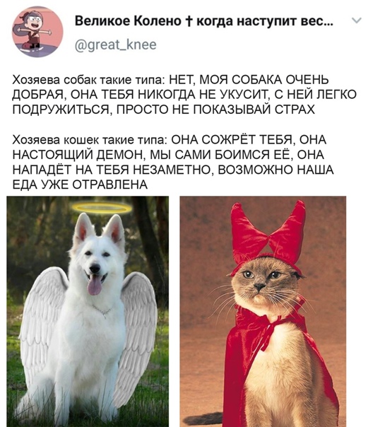 Картинки с надписями и всякие жизненные фразы 10.1.21