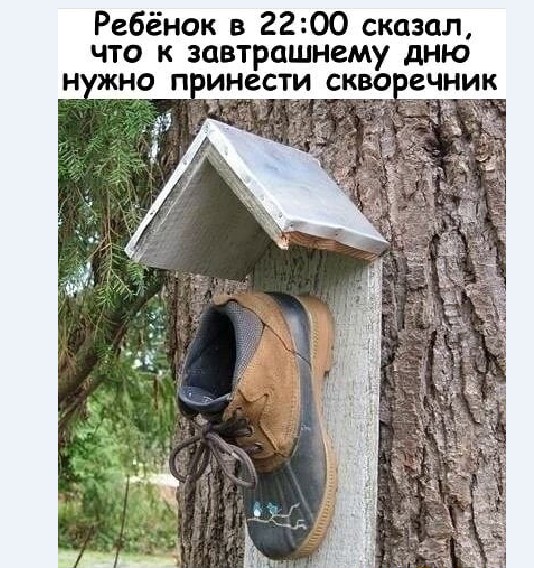 Картинки и мемы для настроения 024