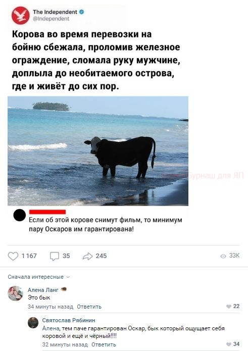 Комментарии к постам в разных группах, которые вызвали улыбку