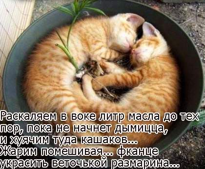 Все про салаты, из всего на свете!, Варианты рецептов