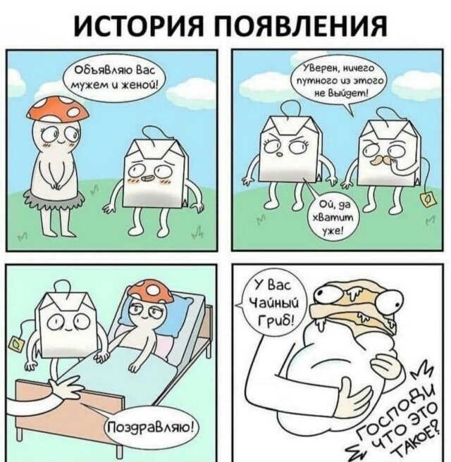 Весёлый полтишок 26.09