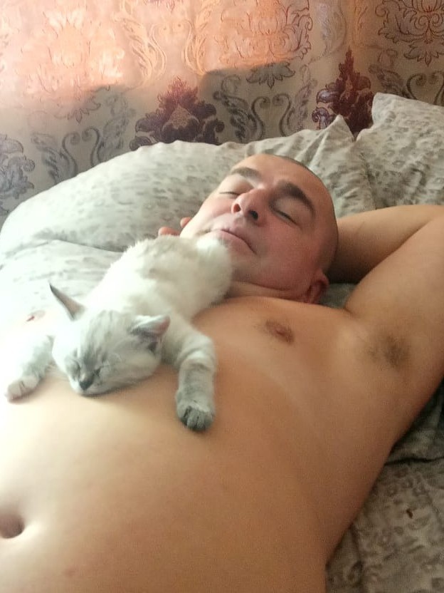 Солнце котовторника уже встало, Господа!