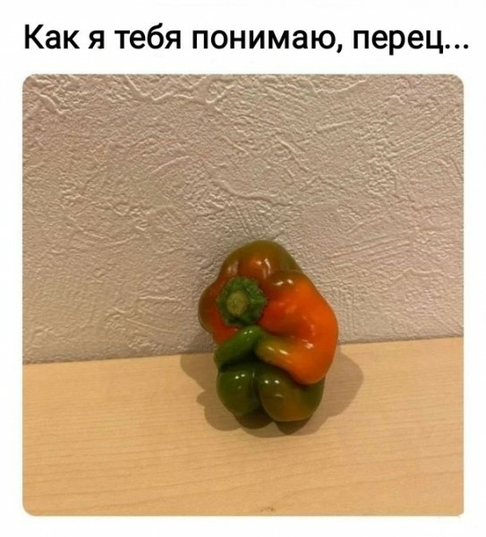 Мемасики для ЯПовцев - Часть 1