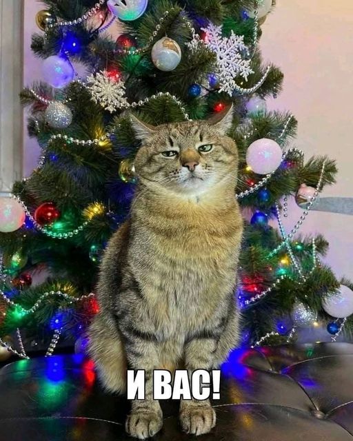 Чтобы выжить