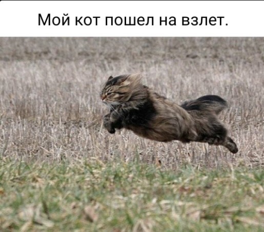 Баянисто-небаянистый юмор 4.03.22