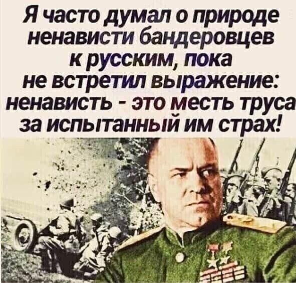 Невыученные уроки истории. Волынская резня.