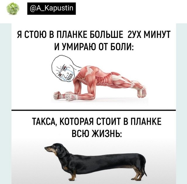 Картинки и мемы для настроения - 03