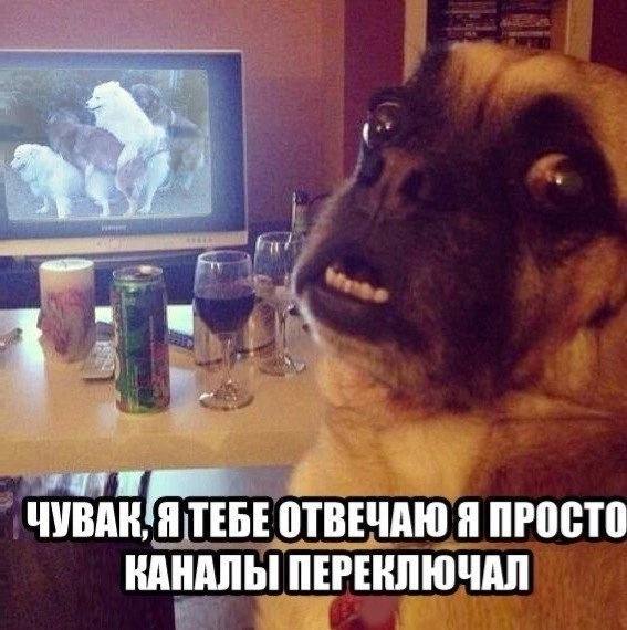 Немного мемчиков. Для взрослых. Часть 15