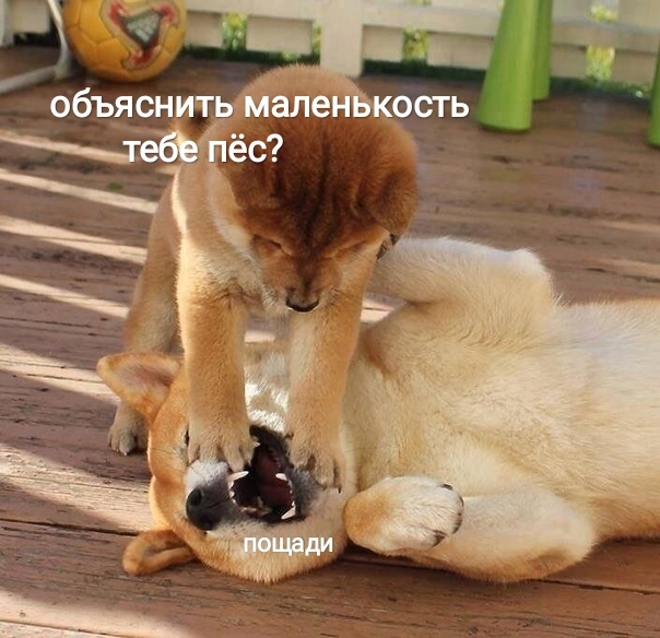 Картинки и мемы, всем хороших выходных