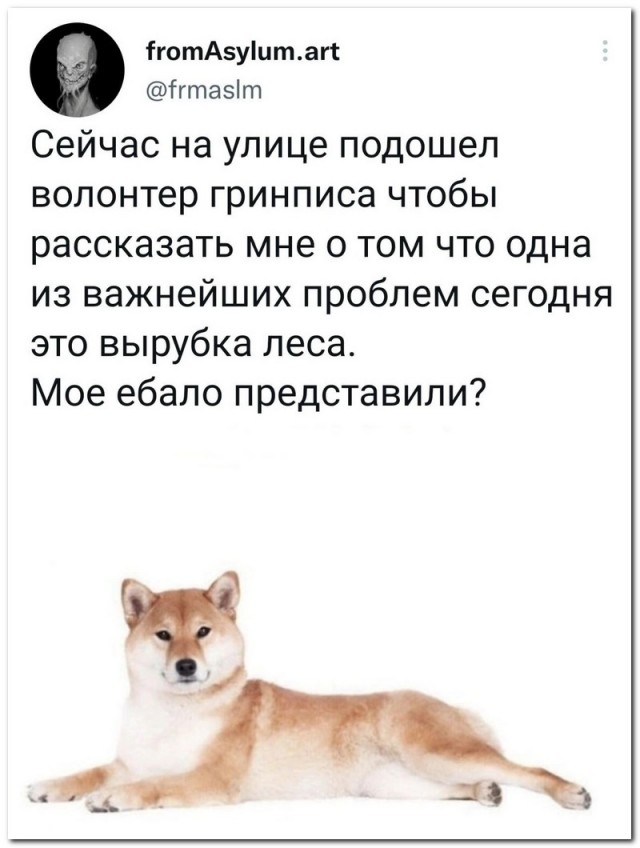 Немного картинок для настроения - 105