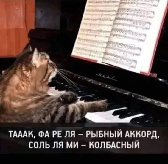 Так себе картинки 25.01.2023