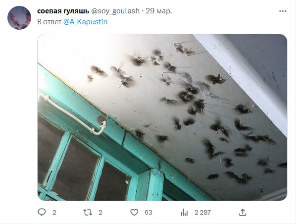 Скажите что-то, что молодёжь не поймет