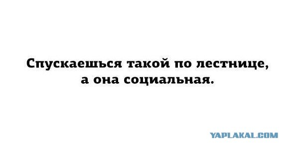 Мемасы из мемори