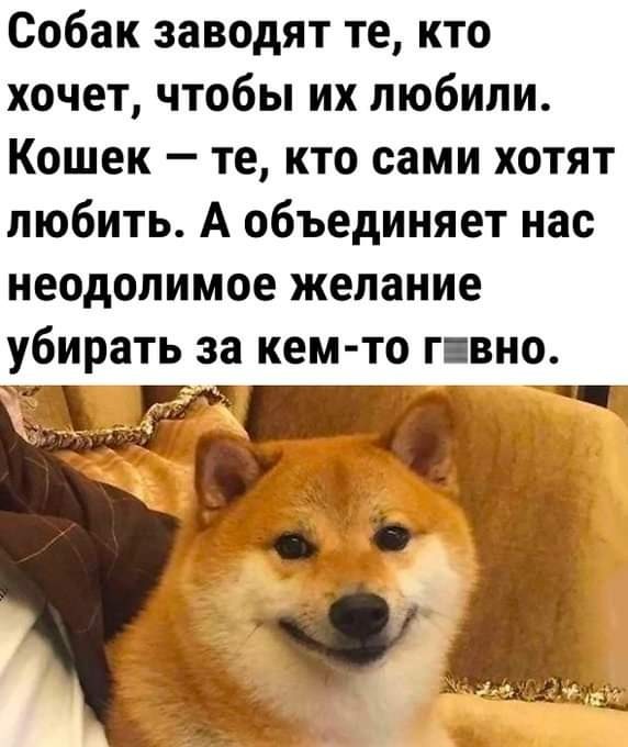 Улыбательные картинки и тексты.