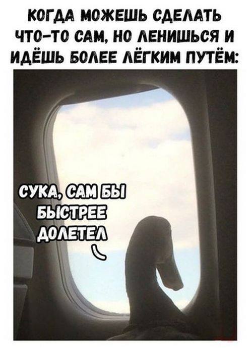 Гусь вялый