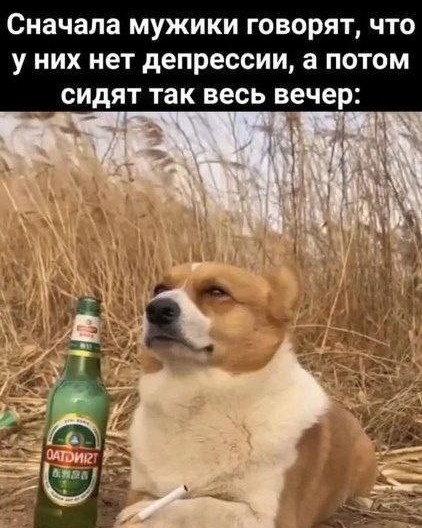 Девочка, которая не бросит