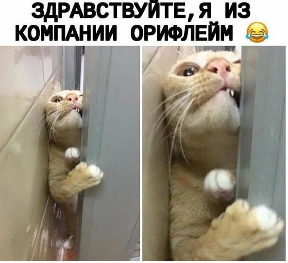 Мне только спросить