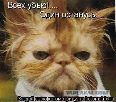 Теперь мы забыли их настоящие имена