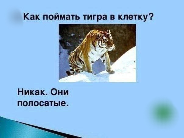 Сборник бабаянов и т.д. и т.п.