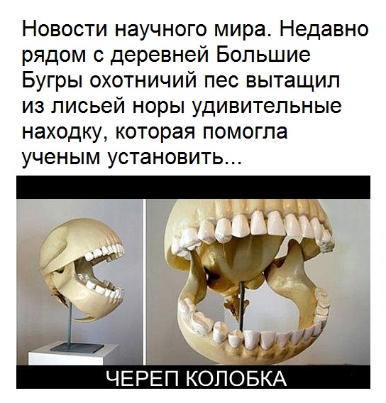 Что внутри у Колобка?