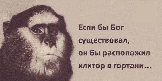 Ротилк