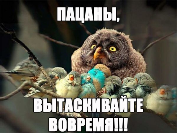 Прикольные и просто красивые картинки 01.11.2024