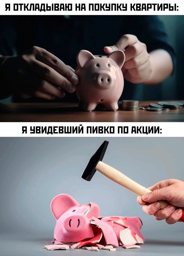 Весёлый полтишок 22.11.24