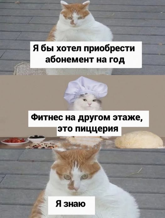 К котовторнику: подборка картинок-баянов с котиками и про котиков. Выпуск 2.