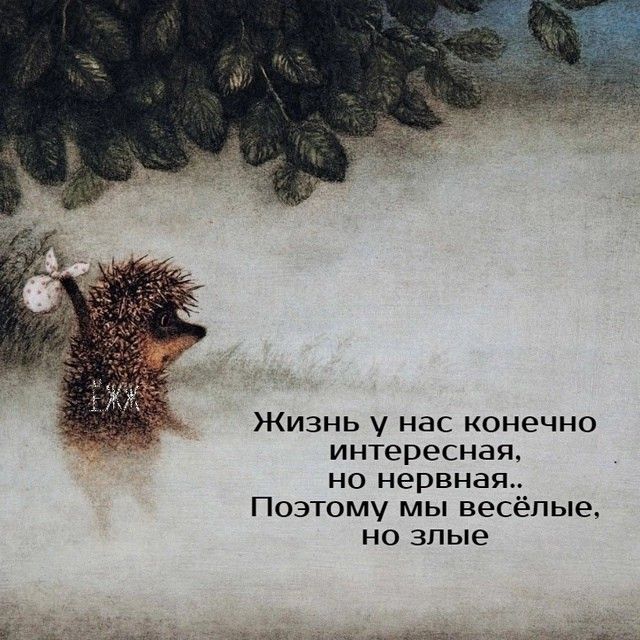 Прикольные и просто красивые картинки 28.03.2025