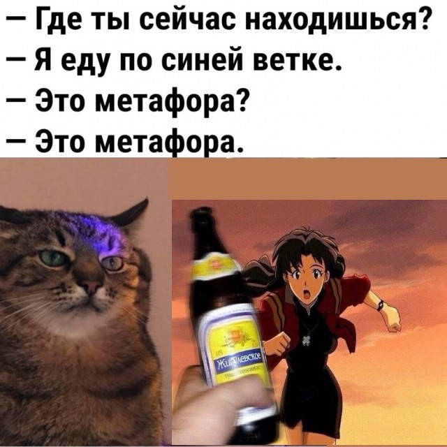 Пивная Пятничная подборка